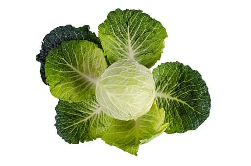 Foods Cleanse The Liver Foods Cleanse The Liver