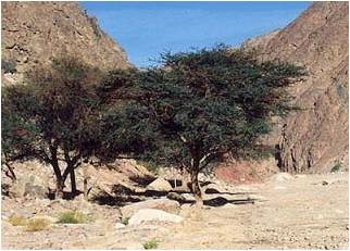 Tanda-tanda Akhir Zaman: Iman Kepada Hari Akhir atau Kiamat Ada dua hal