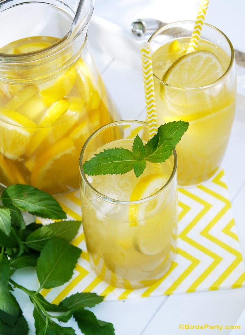 Skinny & Healthy Citrus Green Iced Tea Recipe - BirdsParty.com
