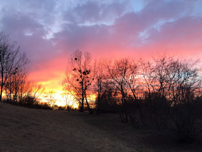 Disc Golf Zen Moment