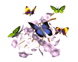 Las mariposas dan vida y color al Huerto
