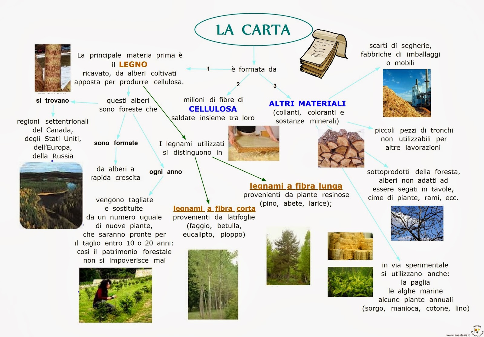 Paradiso delle mappe La carta Paradiso delle mappe La carta