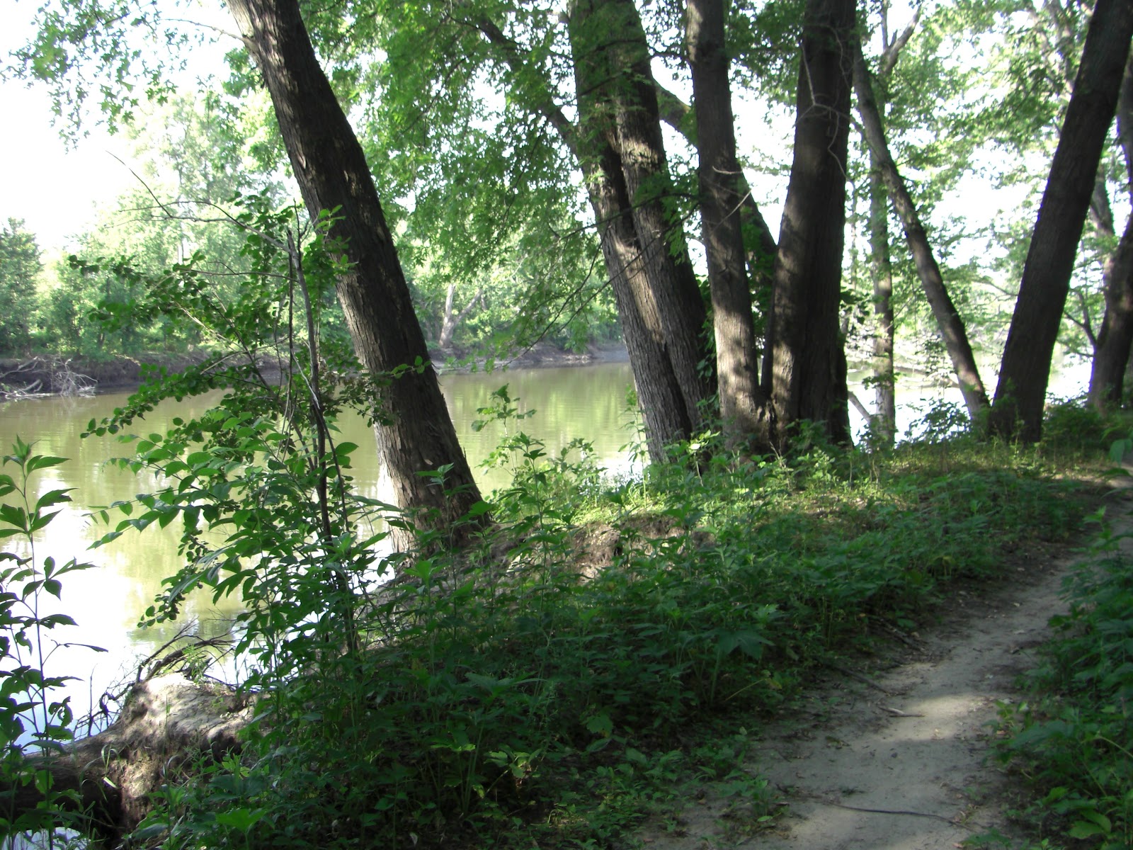 MN Bike Trail Navigator Minnesota River Bottoms West Segment Mid Summer Trail Report