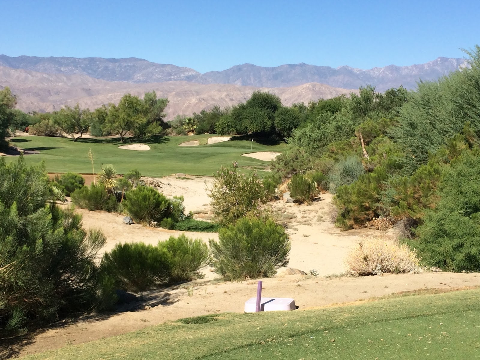 ReGripped Golfing Desert Willow Mountain Review