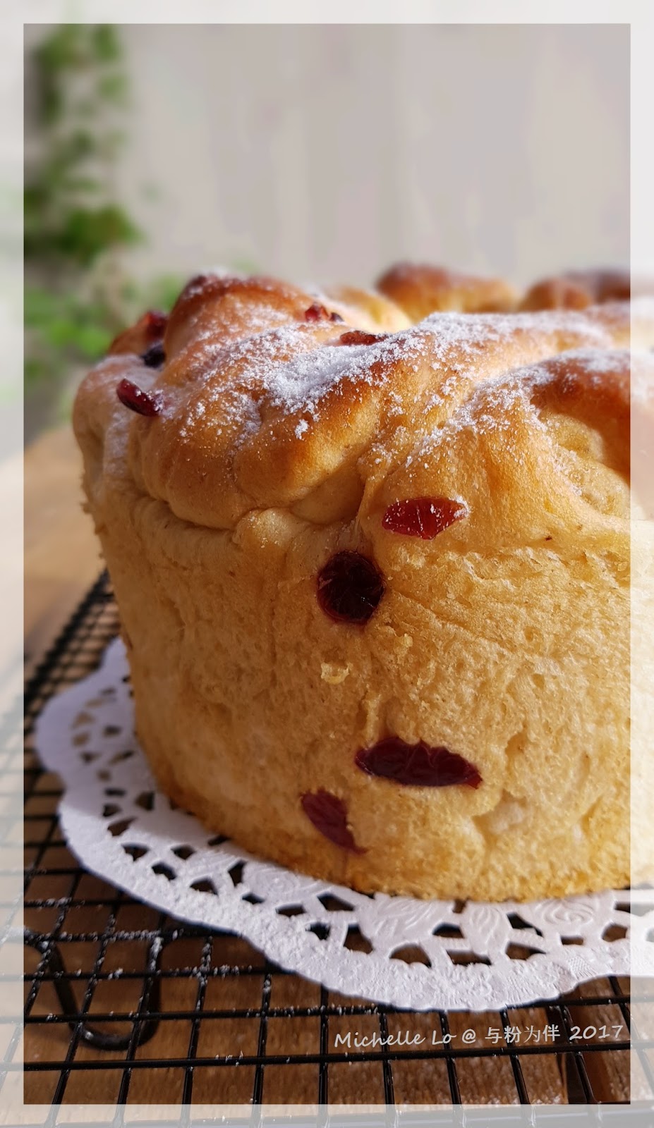 Bibi's Baking Journey 食谱也有保鲜期中种 蔓越莓炼奶手撕面包 【 Cranberry Condensed Milk