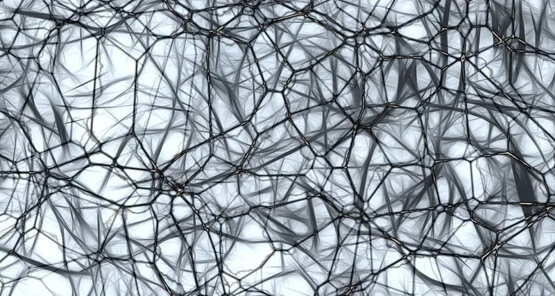 Scientists have discovered “anxiety neurons”