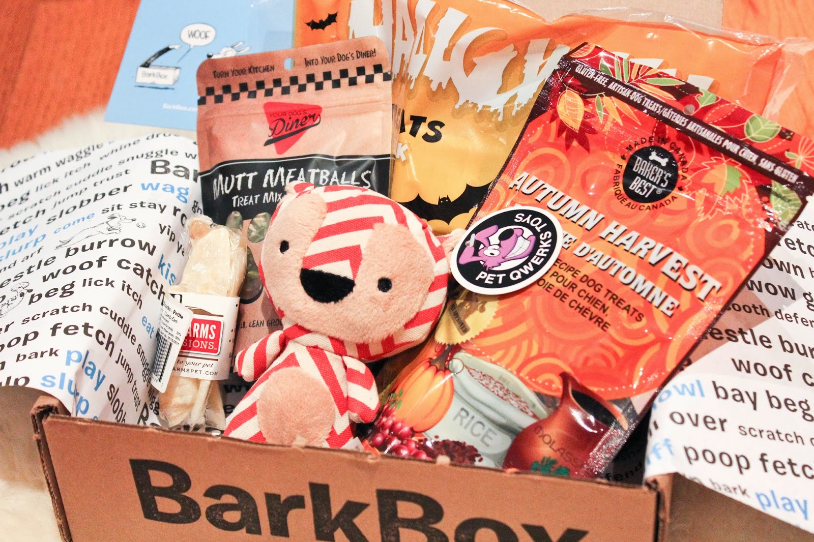 barkbox halloween