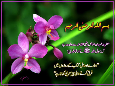 Muslim hadith