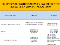 Cuantos Comederos Y Bebederos Se Necesitan Para 100 Pollos