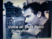 RIDLEY REPORT