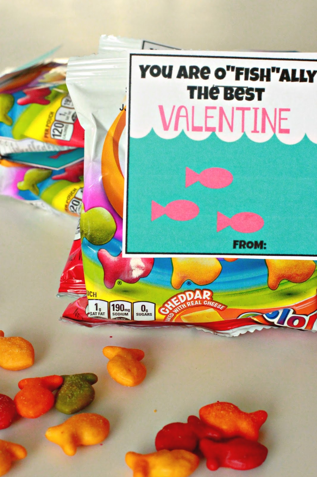 larissa-another-day-o-fish-ally-the-best-valentine