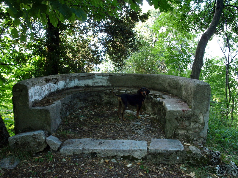 Massimo Gugliucciello: Il Monastero Maledetto dei Monaci del Diavolo