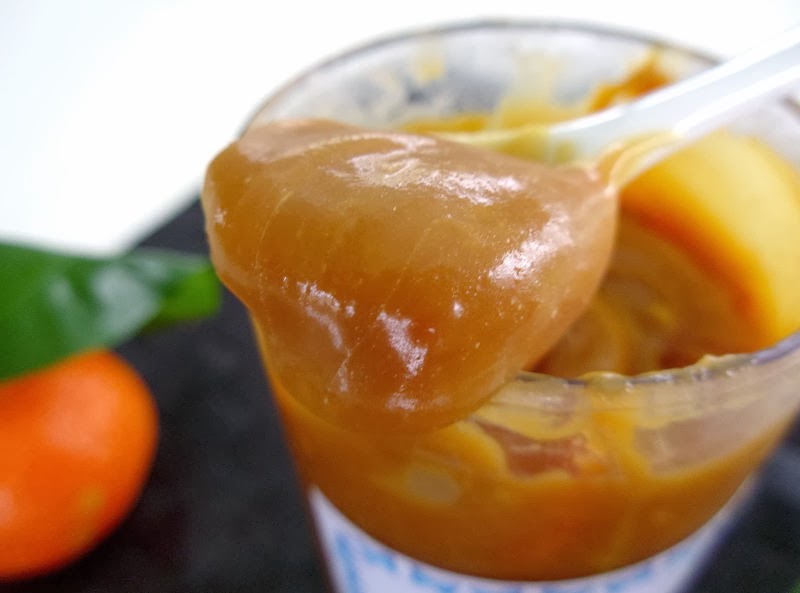 Gourmande ou passionnée... Sauce caramel à la clémentine corse