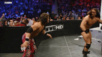 Outside%2BDropkick%2Binto%2Bthe%2BApron.gif