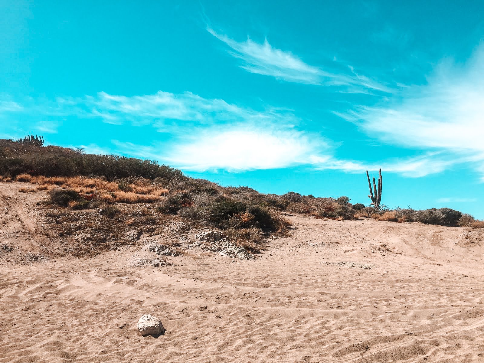 la playa piedras pintas à san carlos dans le nord ouest du mexique avec ses dunes de sable et ses cactus