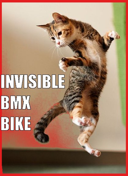 cat on invisible bmx bike