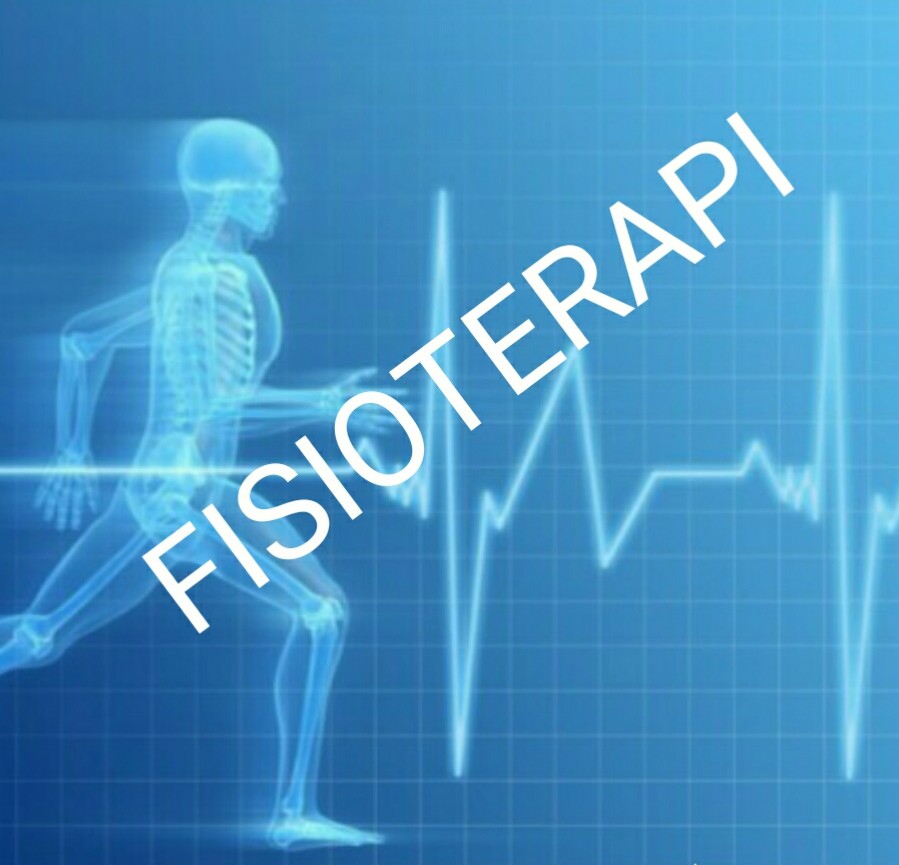 Apa prospek kerja jurusan fisioterapi?