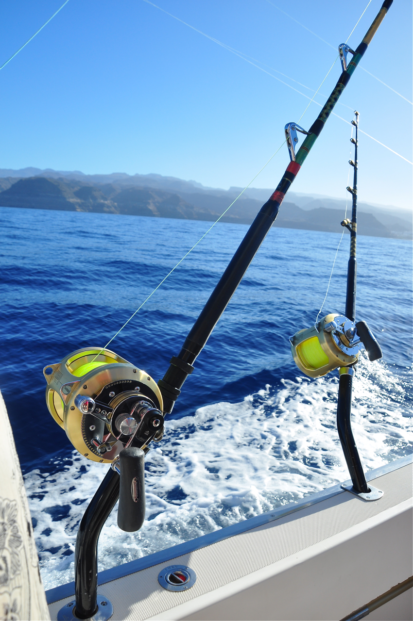 Stockholm Specimen Hunter's Group: Marlin fishing; Puerto Rico, Gran