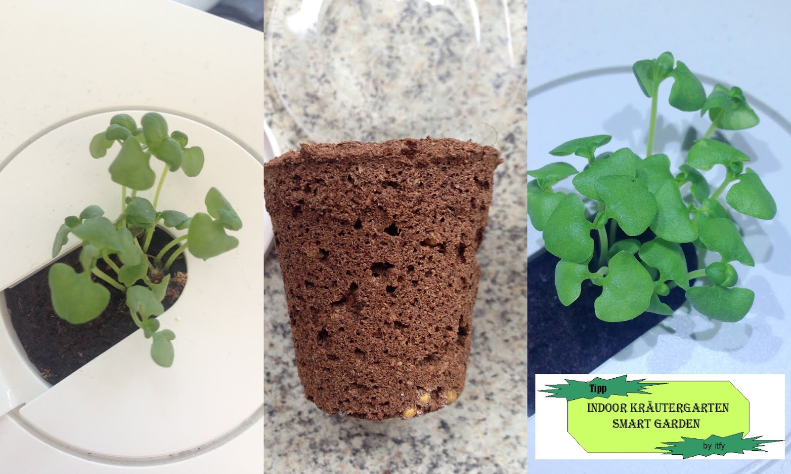 Auswirkungen Der Covid 19 Pandemie