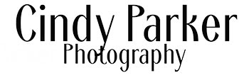 CINDY PARKER PHOTOGRAPHY
