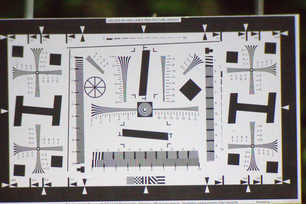 Nature photography with magnification: Digiscope vs telephoto