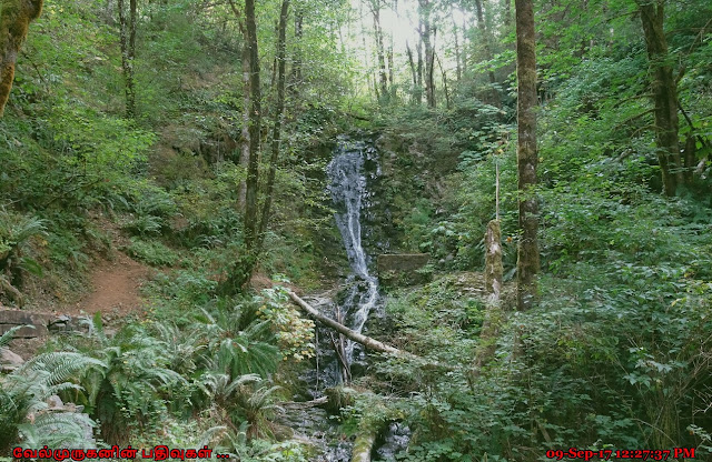 Bridge Creek Falls Tillamook