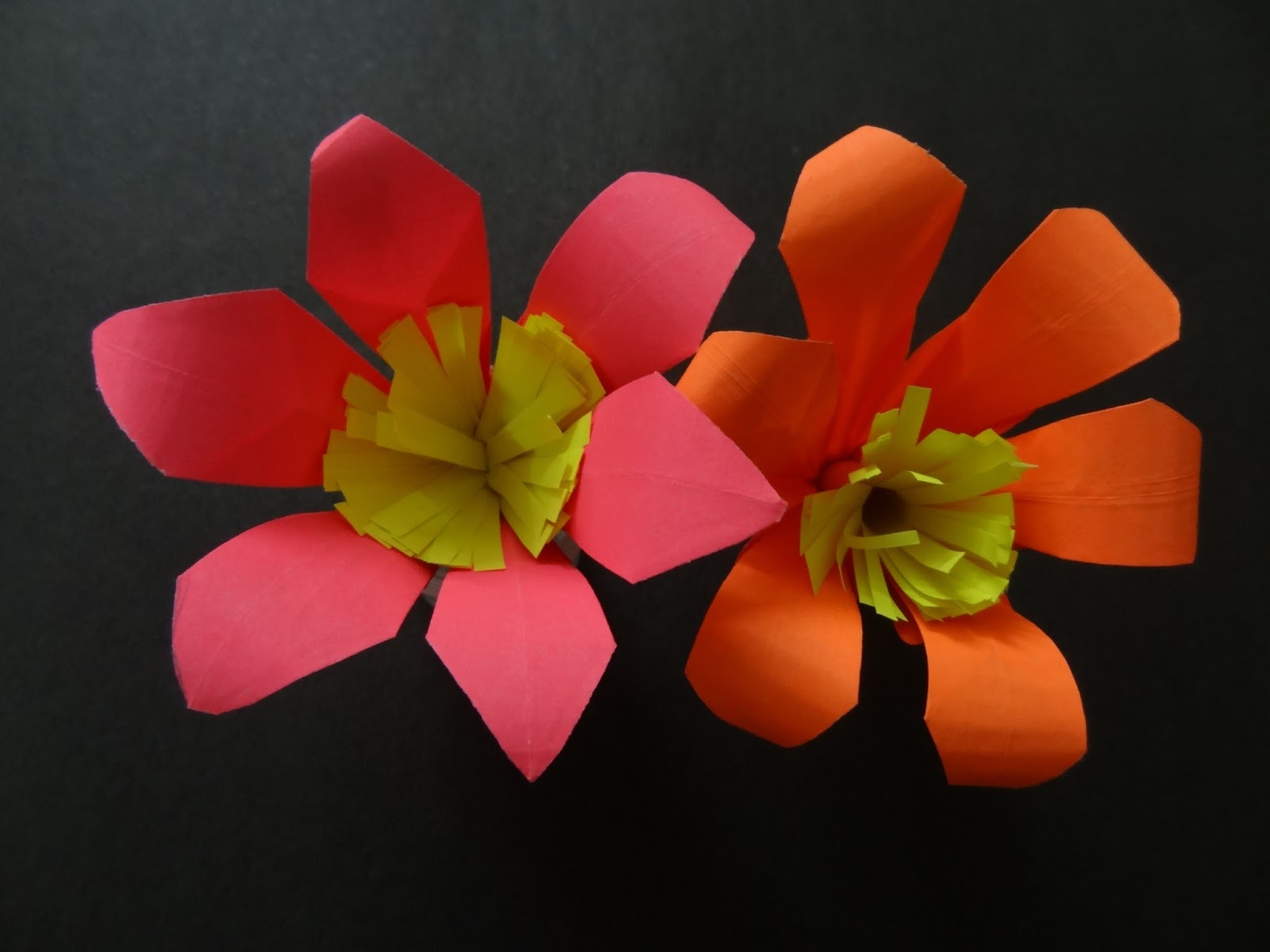 Essay on lily flower image