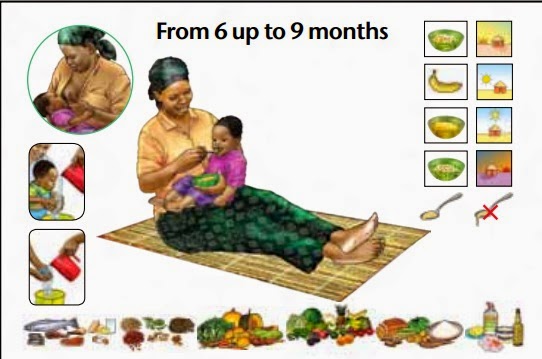 Feeding Rice Cakes To Month Old Feeding Rice Cakes To Month Old