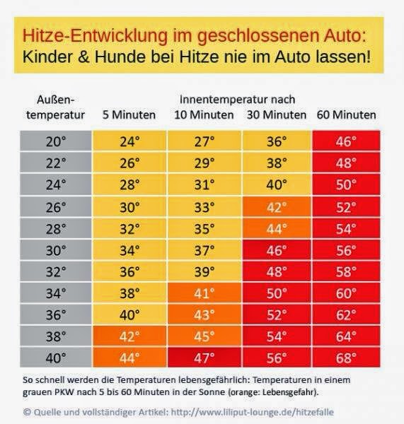 Den Hund vor Hitze schützen ELDOGRADO.de