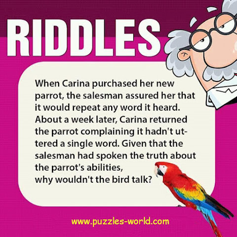The Speaking Parrot Riddle