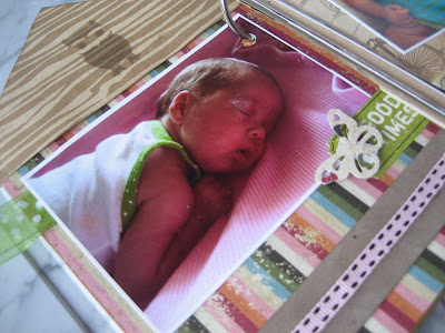 Álbum scrapbook para bebé recién nacido/ Baby scrapbook