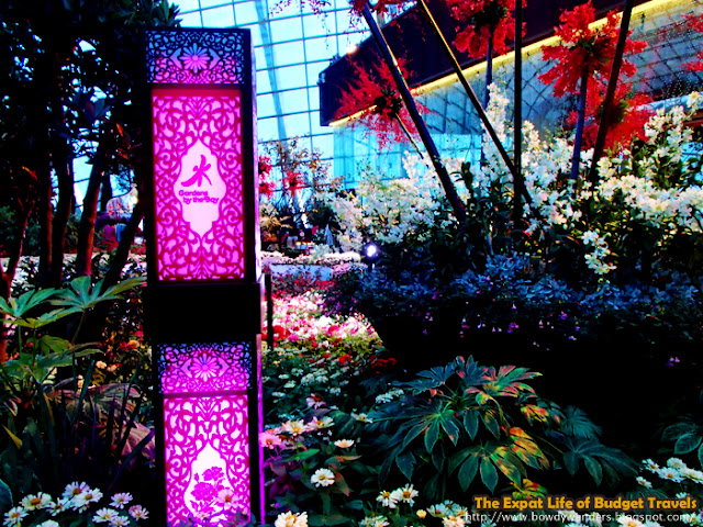 bowdywanders.com Singapore Travel Blog Philippines Photo :: Singapore :: Gardens by the Bay – Flower Dome