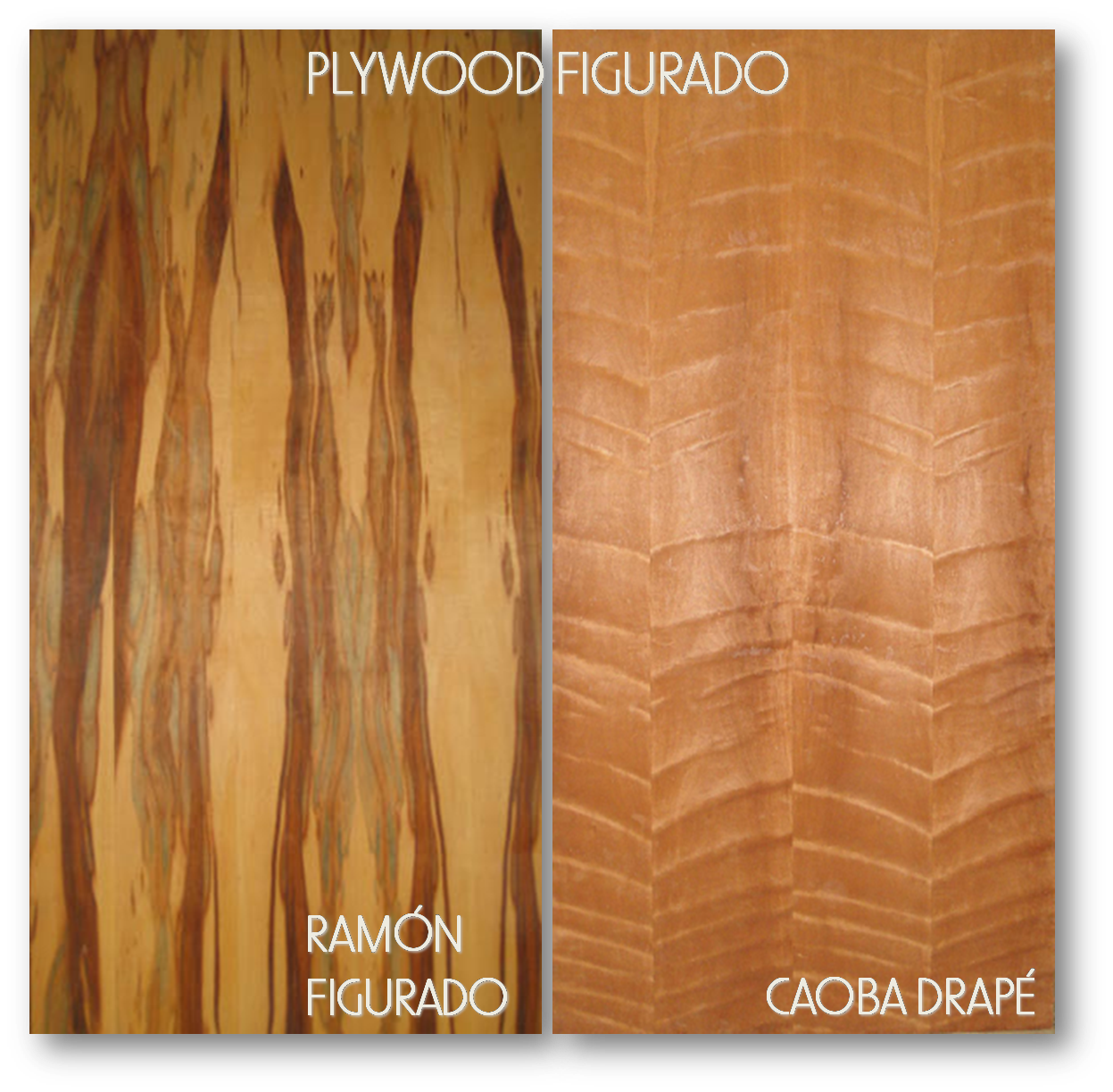 Baren Comercial PLYWOOD Y TABLEROS