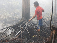 Aksi Pahlawan Muda Melawan Asap dan Kebakaran Hutan