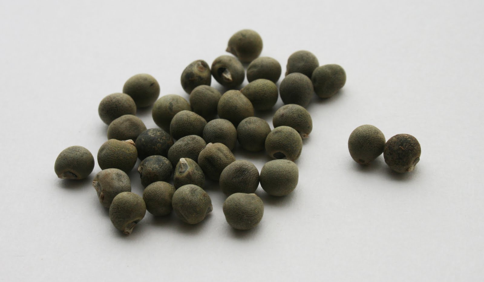 Crops In Pots Outstanding Okra!