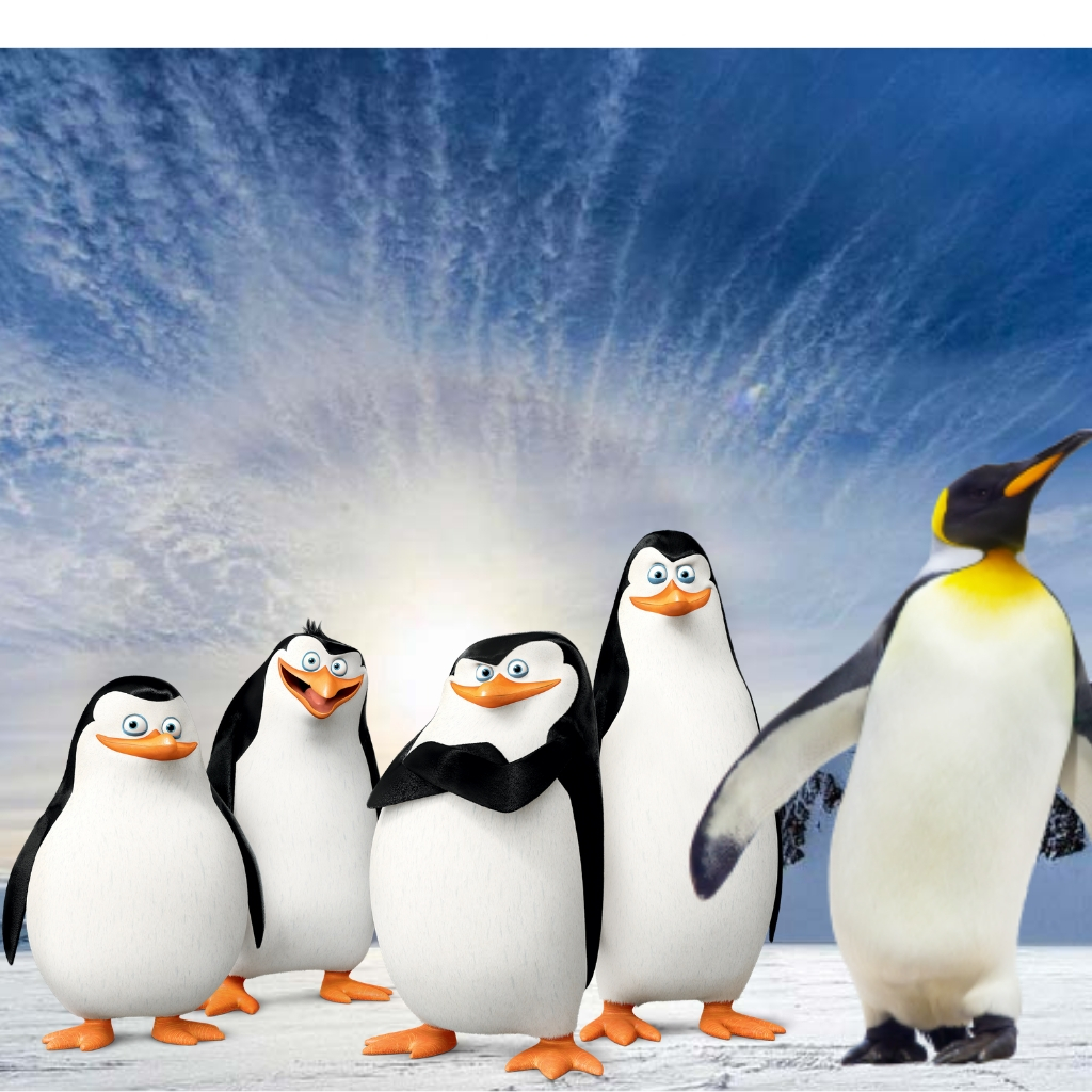 Why Do Penguins Live In The South Pole Atctic Ice Antarctic Animals Facts