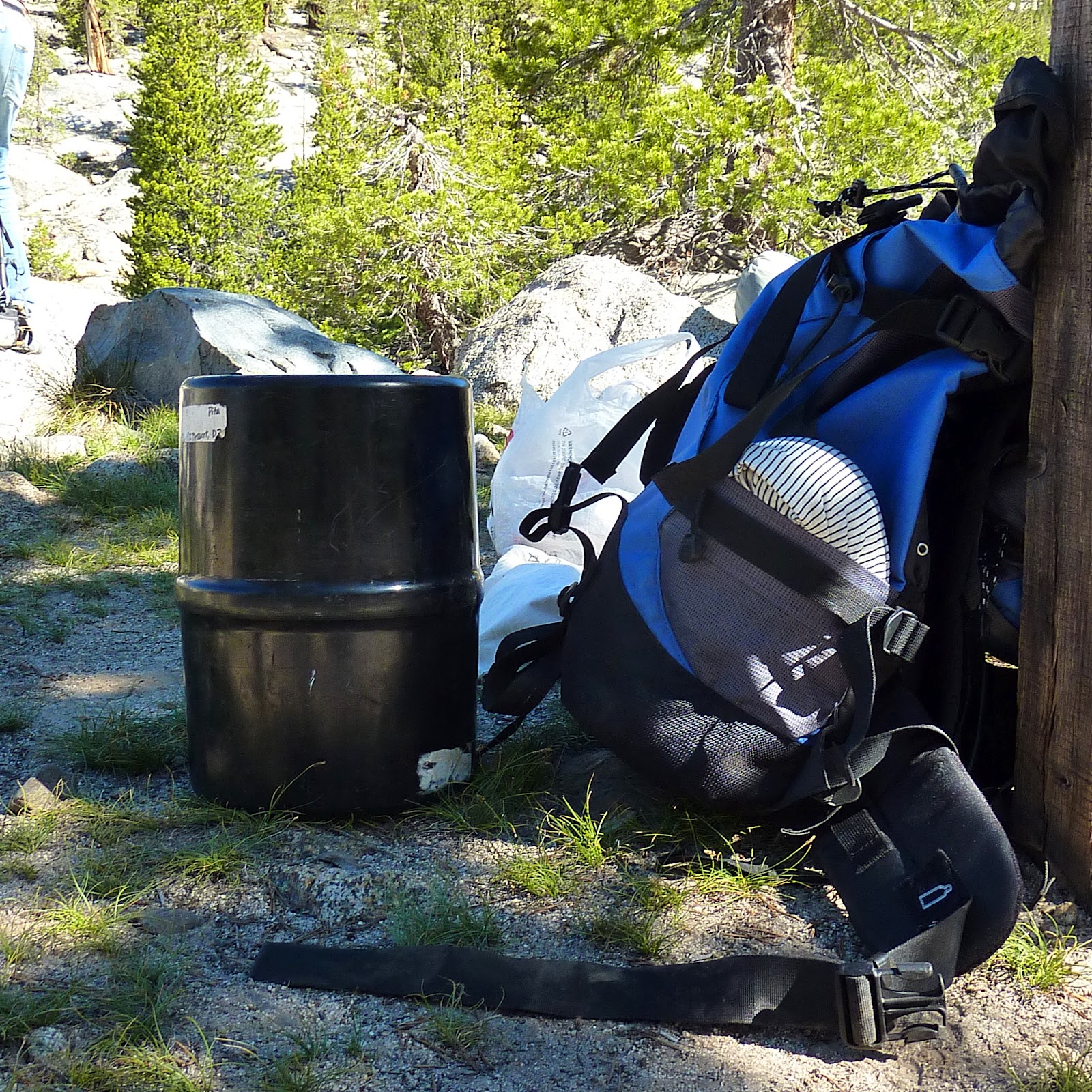 stf in sf Bear canister