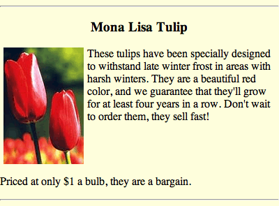The Mona Lisa Tulip slide
