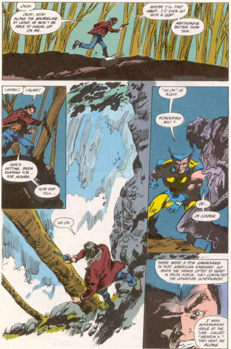 Read online Wolverine (1988) comic -  Issue #9 - 18