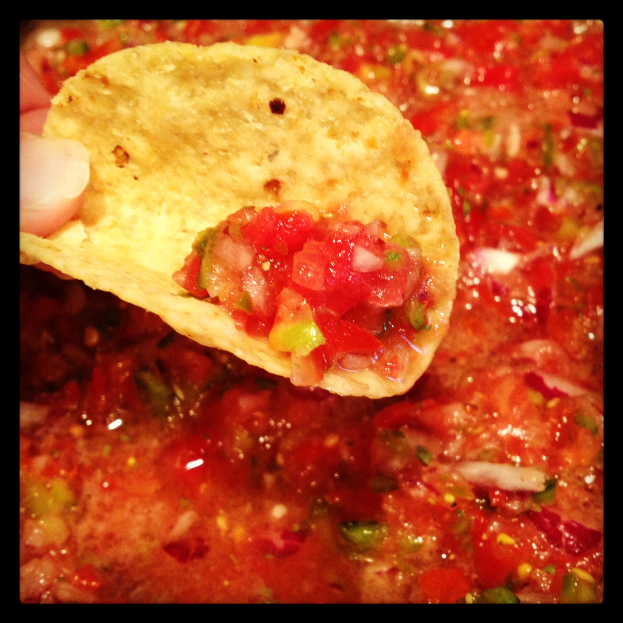 The Farmer's Wife Fresh Salsa