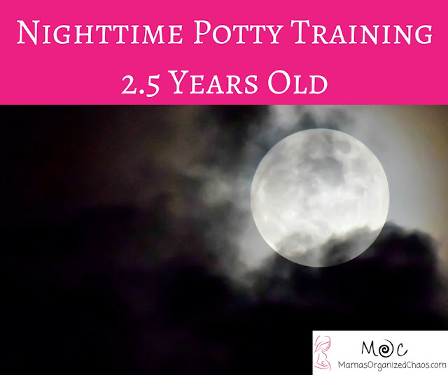 Night and Nap Potty Training Mama's Organized Chaos