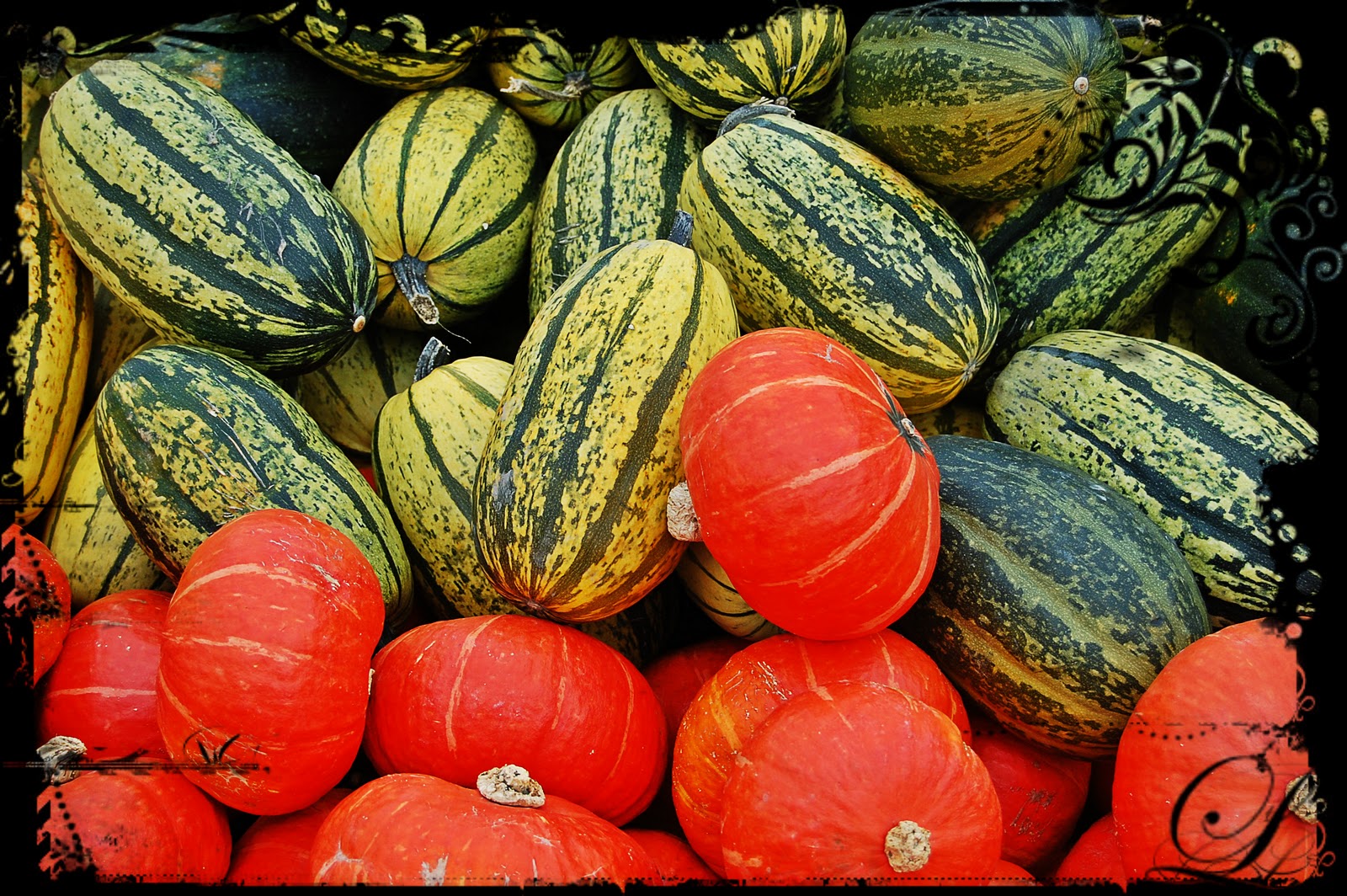 Donner la vie naturellement Centre d'interprétation de la courge • St