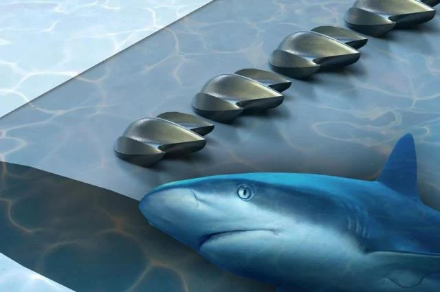 Scales of sharks have excellent aerodynamics