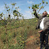His Innovation To Graft A Poisonous Weed With An Edible Fruit Won Him An International Science Award. 