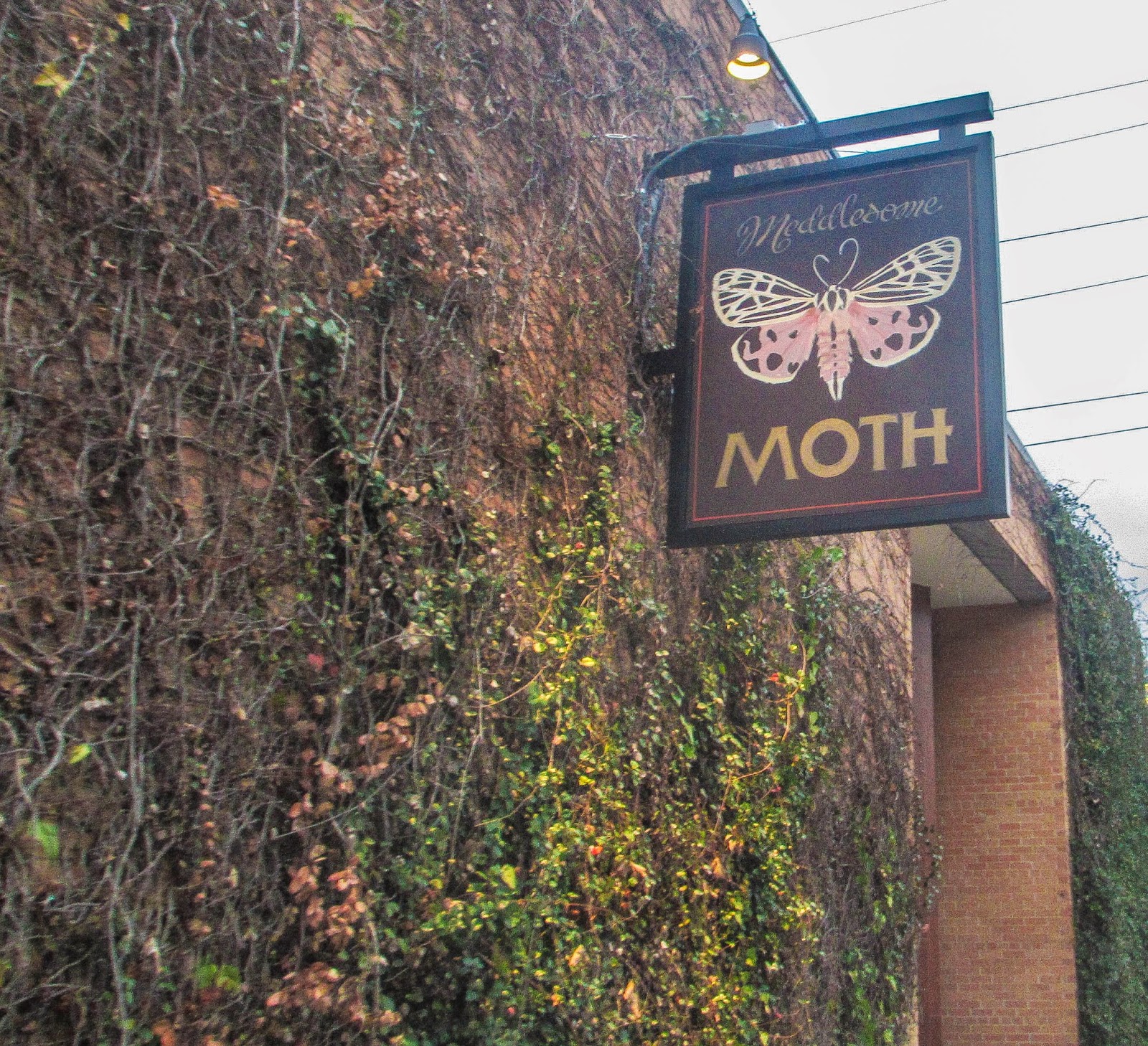 Cannundrums: Meddlesome Moth - Dallas