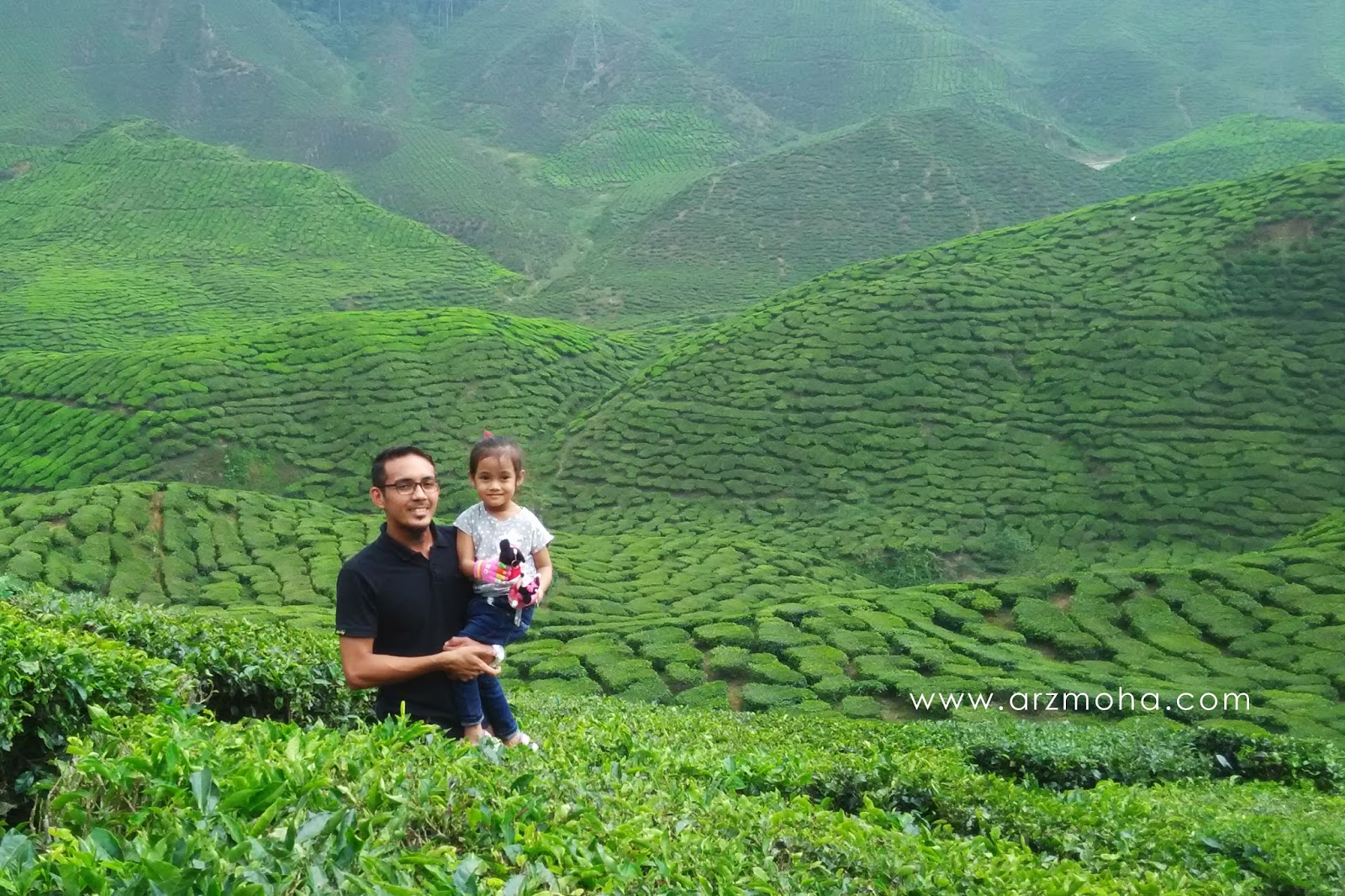 Sejarah Ladang Teh Cameron Highland