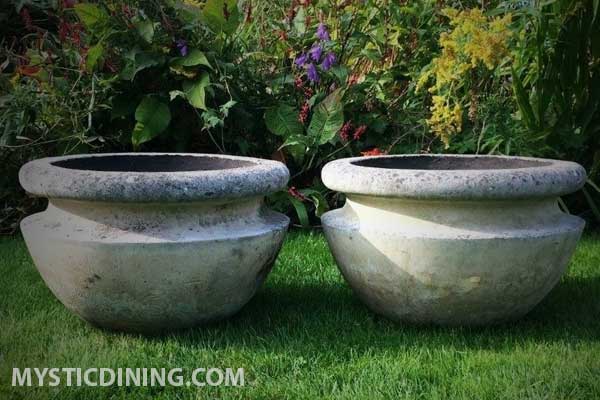 Mystic Dining Interior Exterior Outdoor Furniture Indoor Furniture Gardening Tools Home Decor How To Choose Orchid Pots For The Optimal Health Of Your Plant