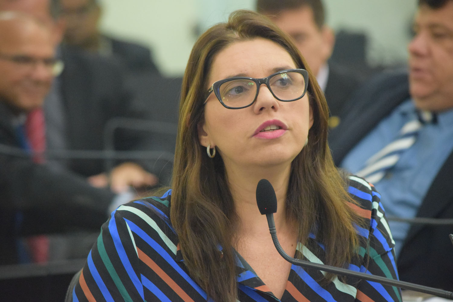 Deputada Jó Pereira insiste em empurrar a Ideologia de Gênero em nossas crianças - Católico Arretado