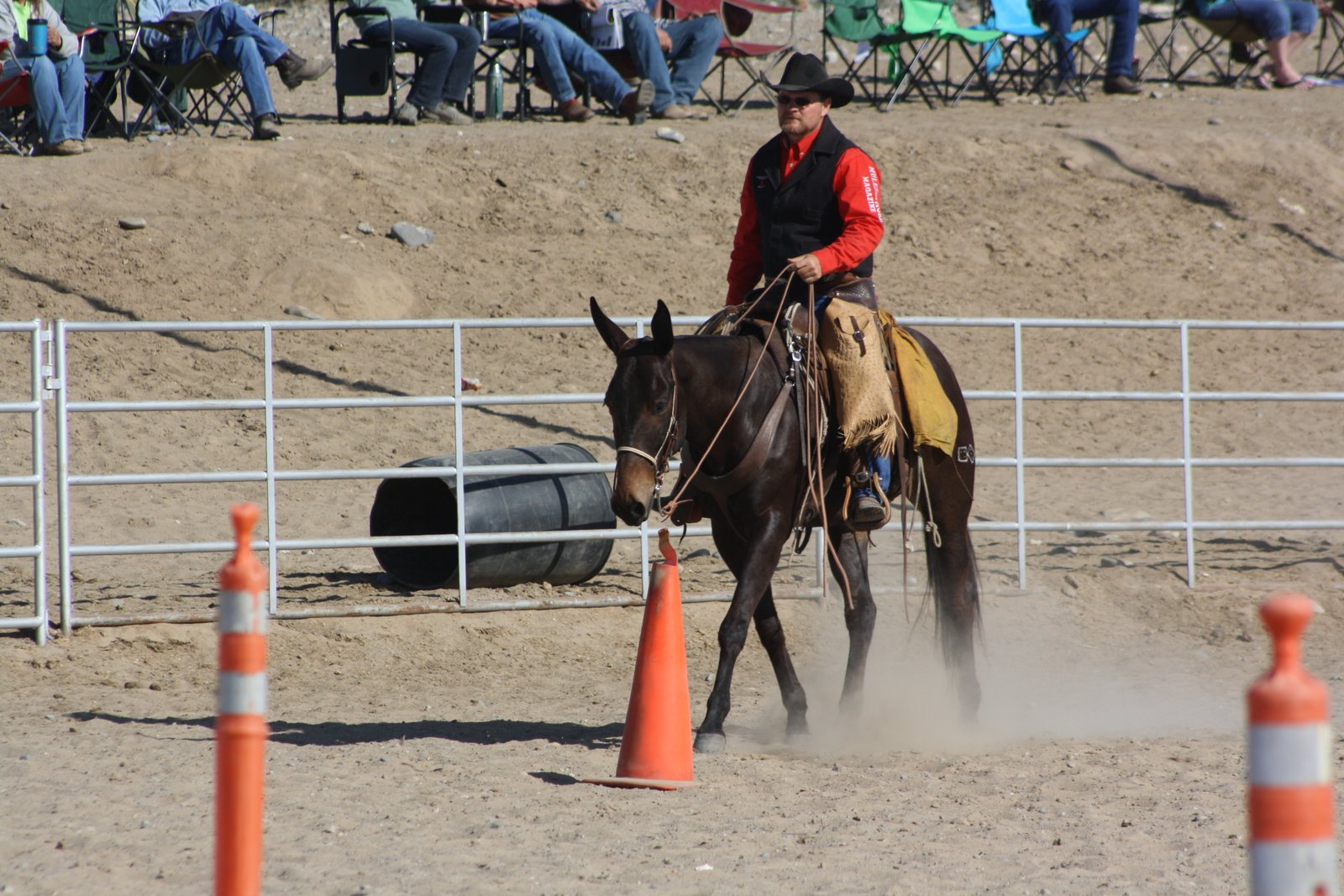 PairADice Mules Top 2 Selling Mules Jake Clark Mule Days