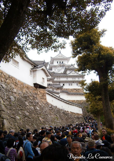 Día 11 - Himeji - Kobe - Japón primavera 2016 - 18 días (con bajo presupuesto) (3)